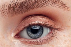 Augenbrauenlaminierung DIY – ein gutes Set zur Brow Lamination zu Hause RANKING