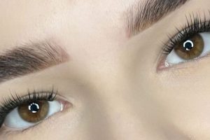 Beste Wimpernverlängerungssets auf dem Markt – Testbericht